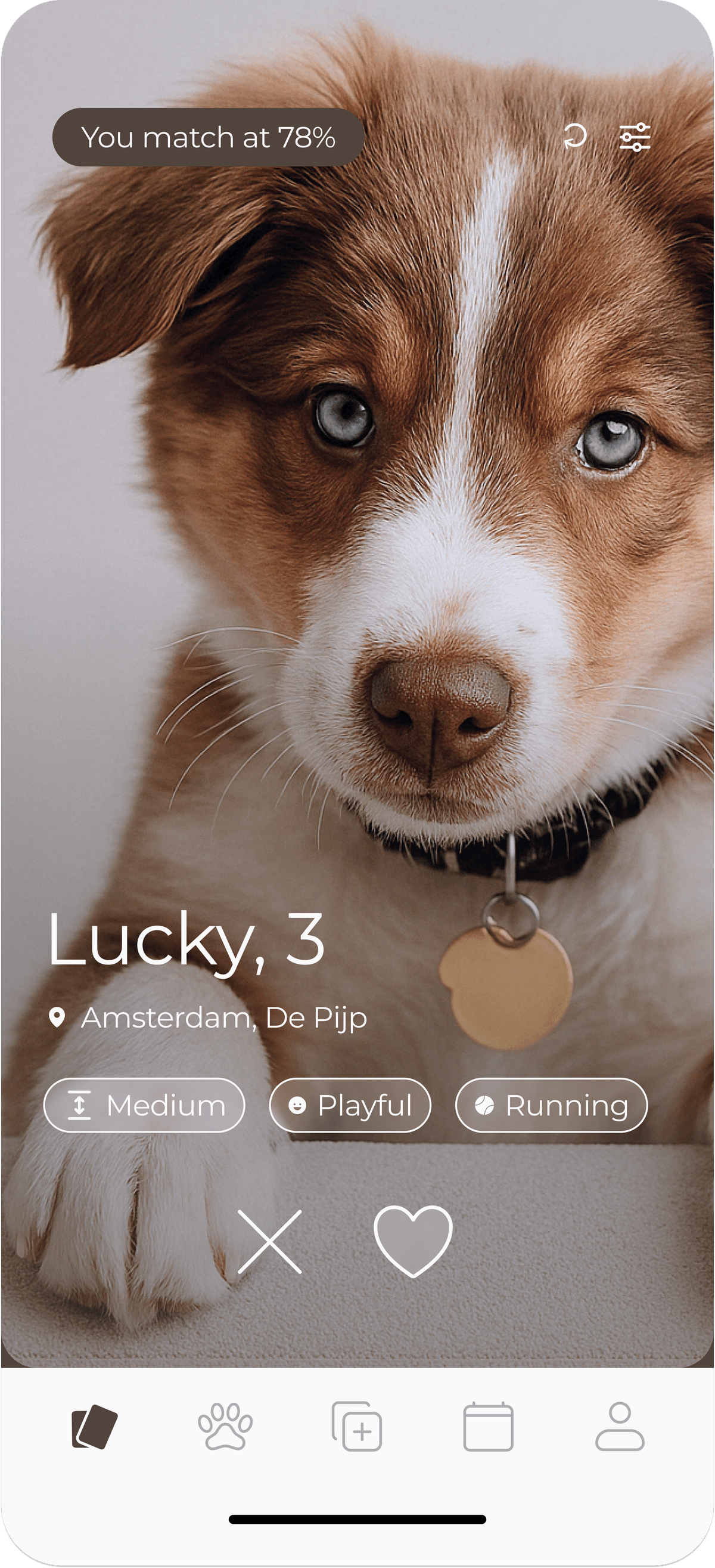 Pawmatch